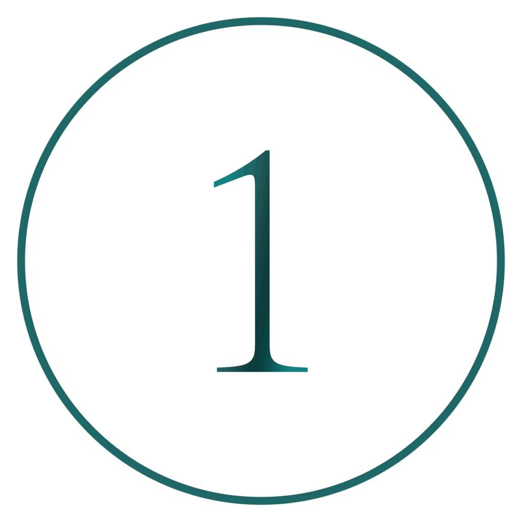 Step 1 – Prepare & Connect